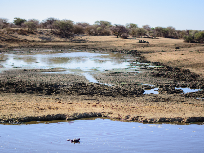 Wasserloch - Etosha-Nationalpark