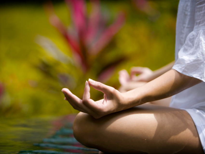 Yoga im Angesicht der Reisfelder