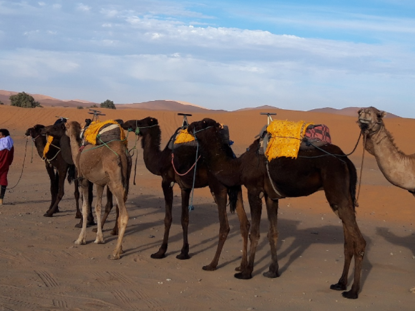 Wanderung Merzouga