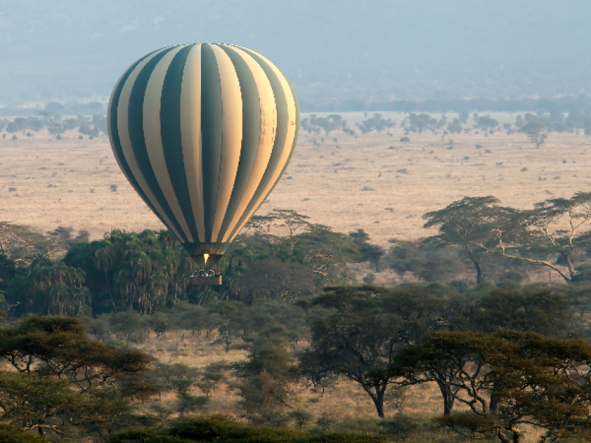 Ballon-Safari