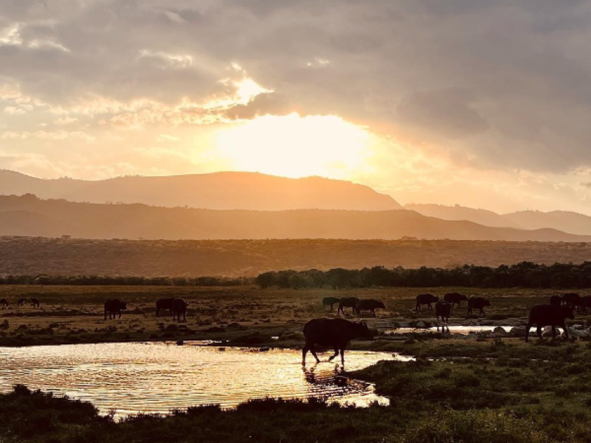 Oserengoni Conservancy
