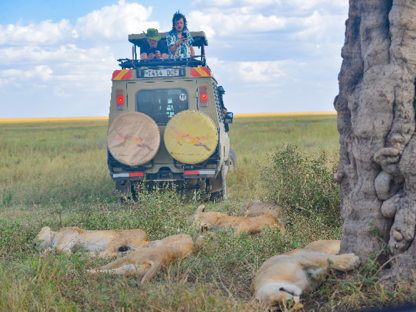 Serengeti