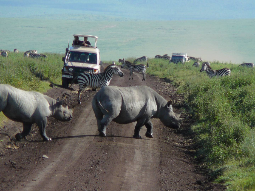 NGORONGORO-KRATER