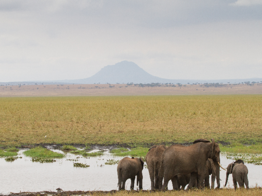 Tarangire-Nationalpark