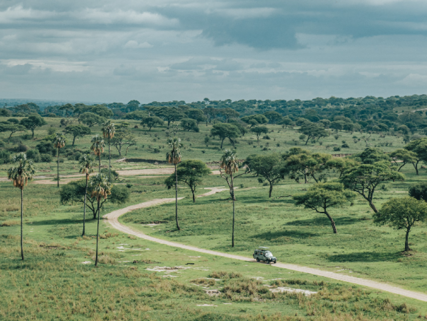 Tarangire-Nationalpark