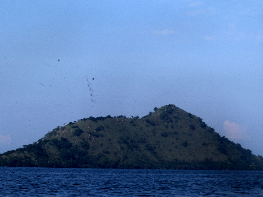 Insel Napoleon-Lac Kivu