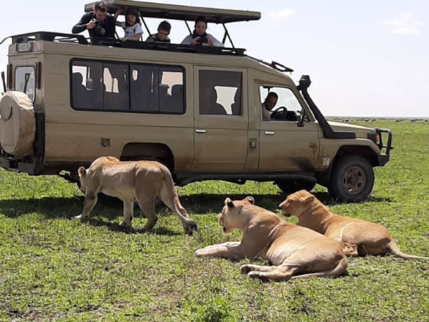 KIRIWE TRAVEL & TREKKING SAFARIS