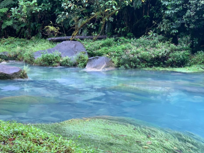 Rio Celeste, Nationalpark des Vulkans Tenorio