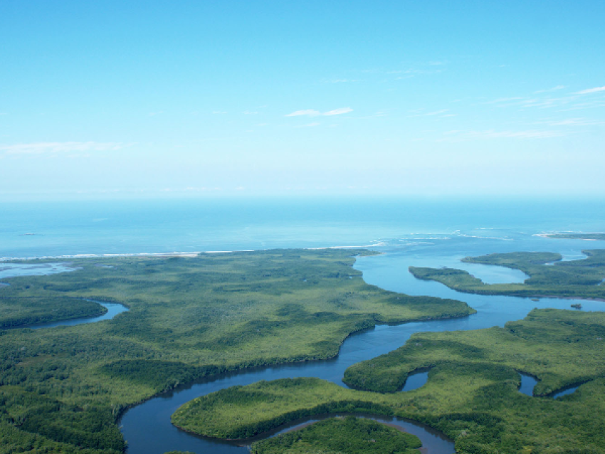 der Rio Sierpe aus der Luft