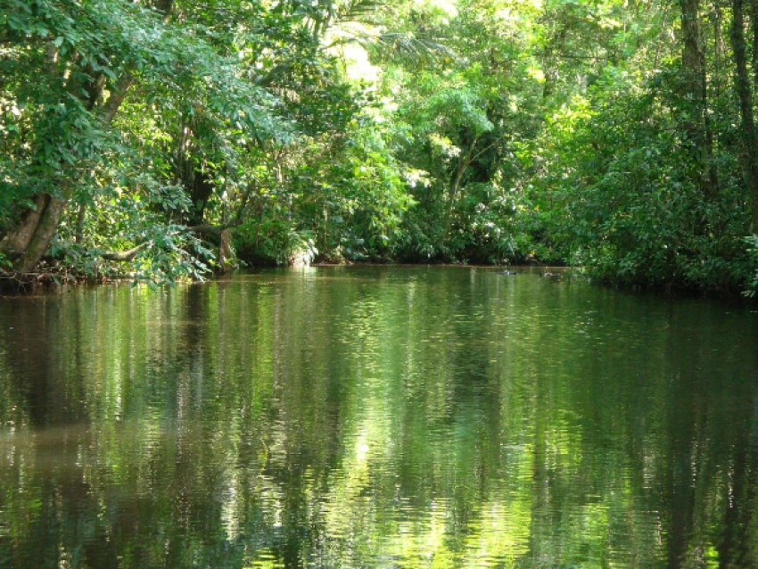 Tortuguero-Kanal