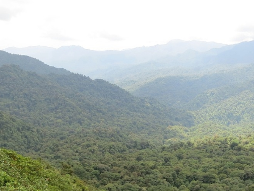 Nuboso-Park Monteverde
