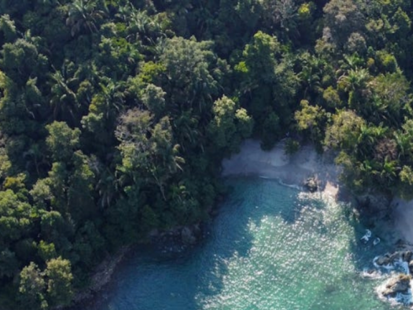 Manuel Antonio Nationalpark