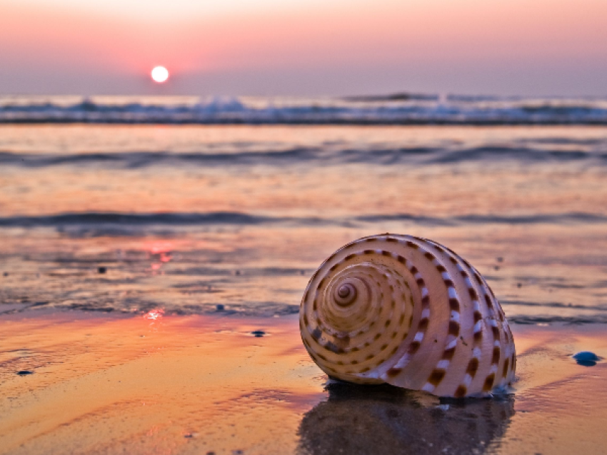 Lakshadweep-Inseln